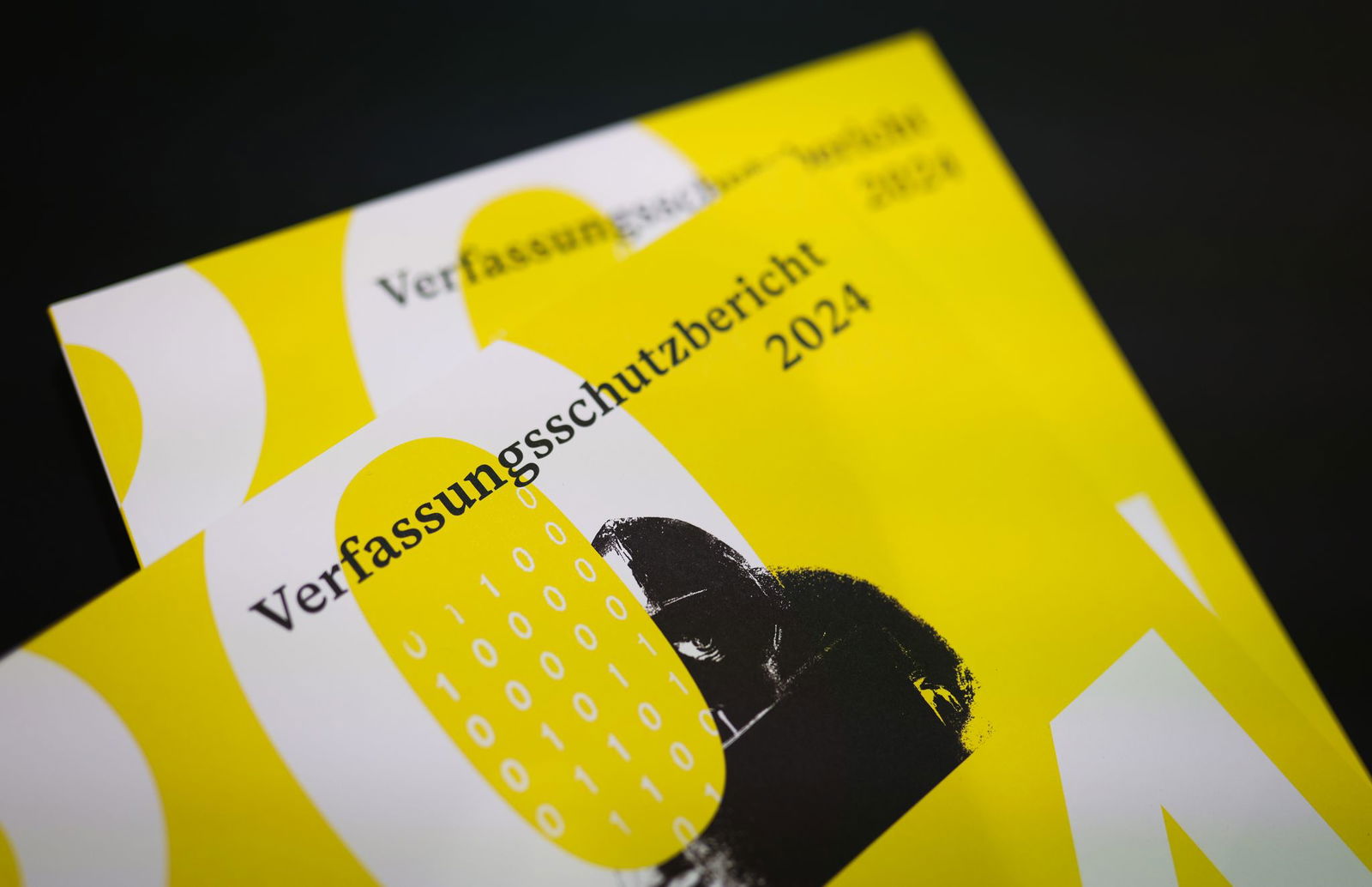 Der neue Arbeitsbericht der baden-württembergischen Verfassungsschützer ist ein Wälzer von mehr als 260 Seiten.