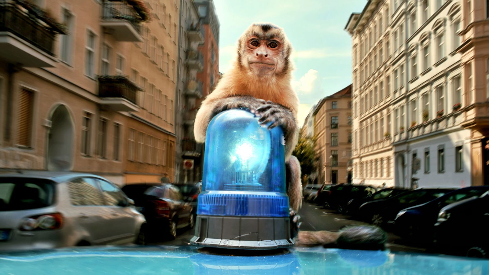 Akiko auf dem Blaulicht - eine Szene des Films «Akiko - Der fliegende Affe».