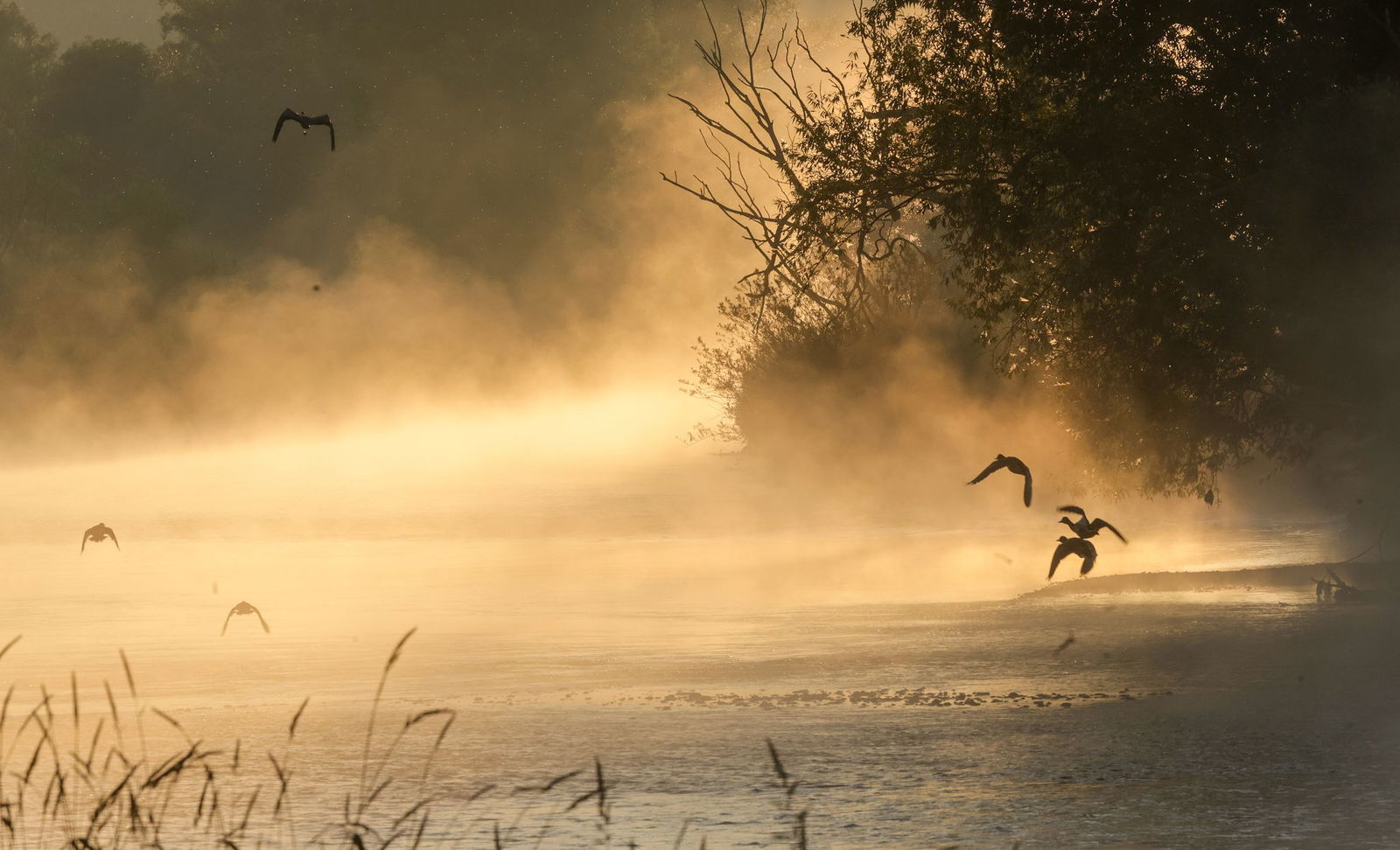 Die Temperaturen klettern auf bis zu 37 Grad. 