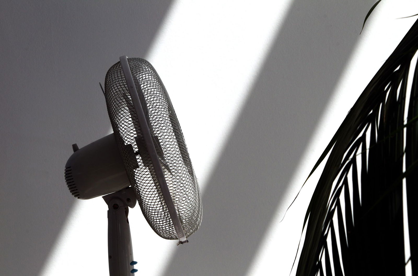 Es werden Temperaturen über 30 Grad erwartet. (Symbolbild)