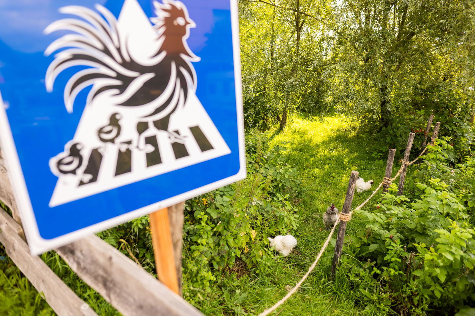 Die Gemeinde Kirchzarten hat keine Einwände gegen selbstgemachte Verkehrsschilder. 