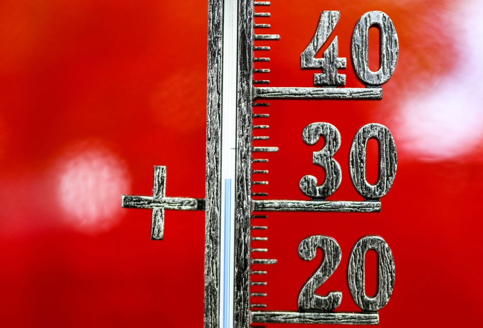 Die rheinland-pfälzischen Städte sollten für einen besonders heißen Sommer vorsorgen, mahnen Grüne Landtagsabgeordnete. (Symbolbild)