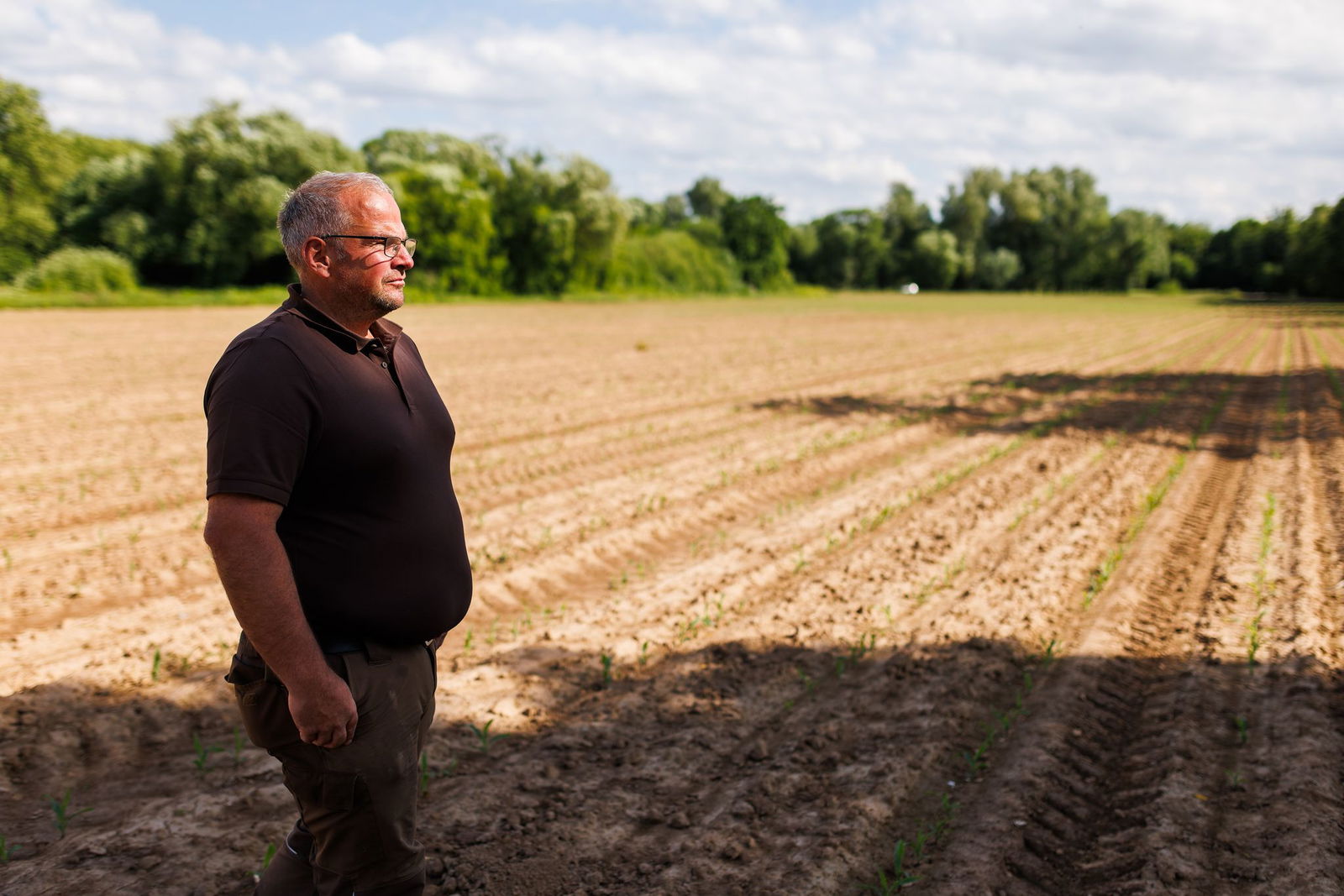 Einige Landwirte setzen Schreckschussapparate ein, um Saatkrähen zu vertreiben. 