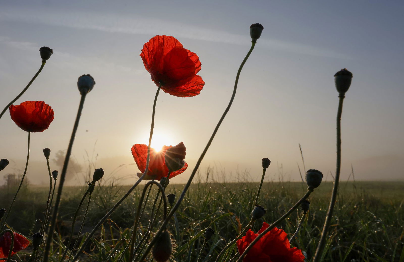Meteorologen erwarten weniger Regen. (Archivbild)