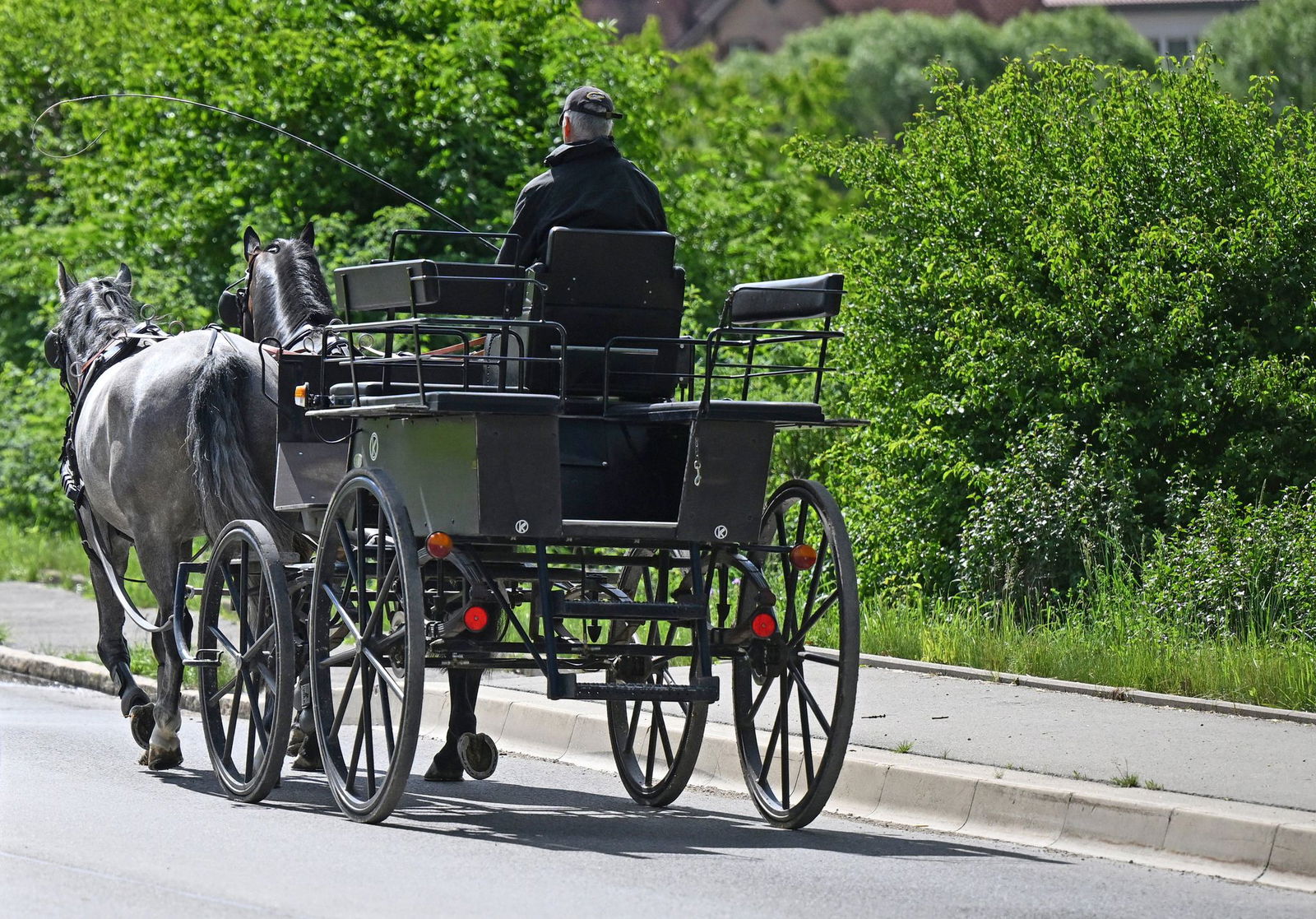 Ihre Route führte die Tiere am Sonntag unter anderem über den viel besuchten Markplatz, ehe es in einer Seitengasse zu dem Zusammenstoß mit einem Auto kam. (Symbolbild)