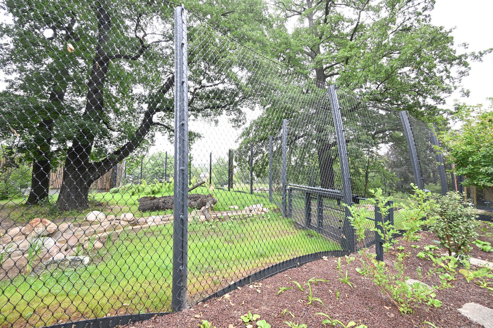 Laut Wilhelma handelt es sich um die modernste Tiger-Anlage Europas.