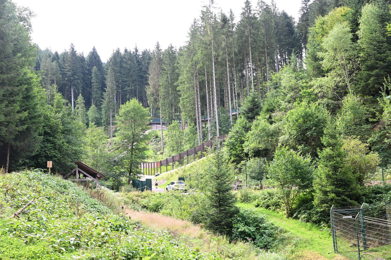 Wildbärin Gaia lebt künftig in einem Hochsicherheitsgelände im Bärenpark Schwarzwald.