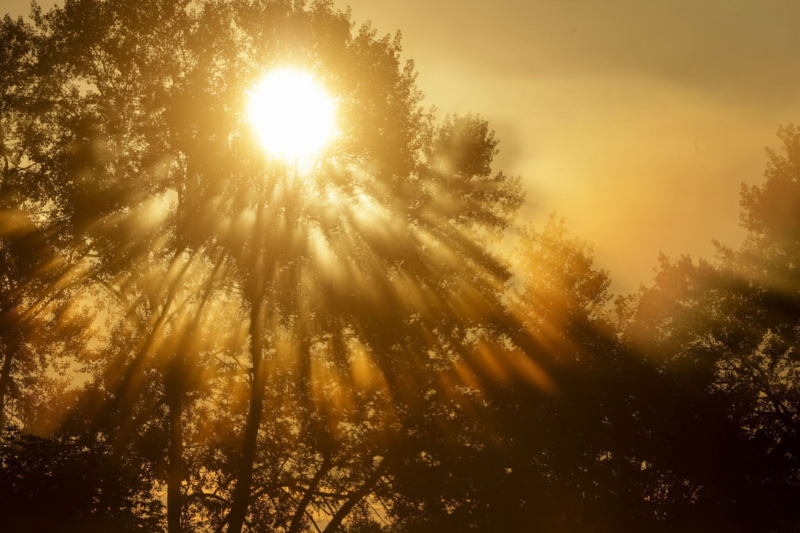 Am Sonntag wird es nochmals sonnig, bevor dann der Regen kommt. 