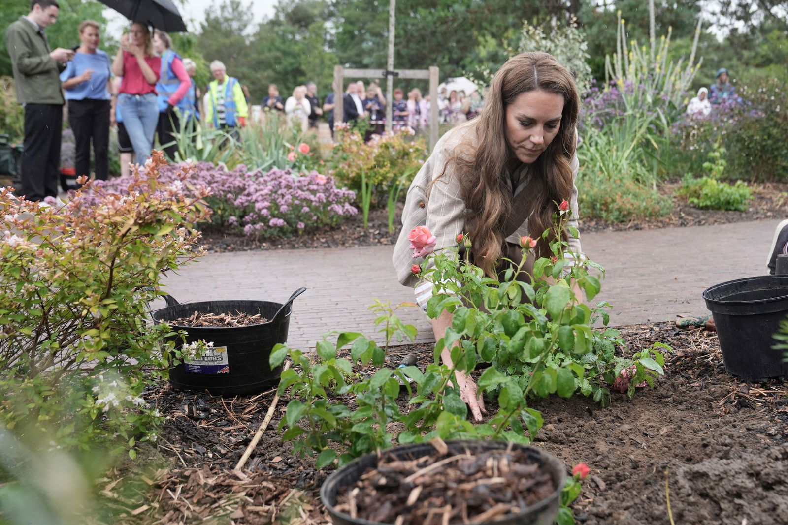 Beim Besuch eines Krankenhauses pflanzte die Prinzessin Rosen.