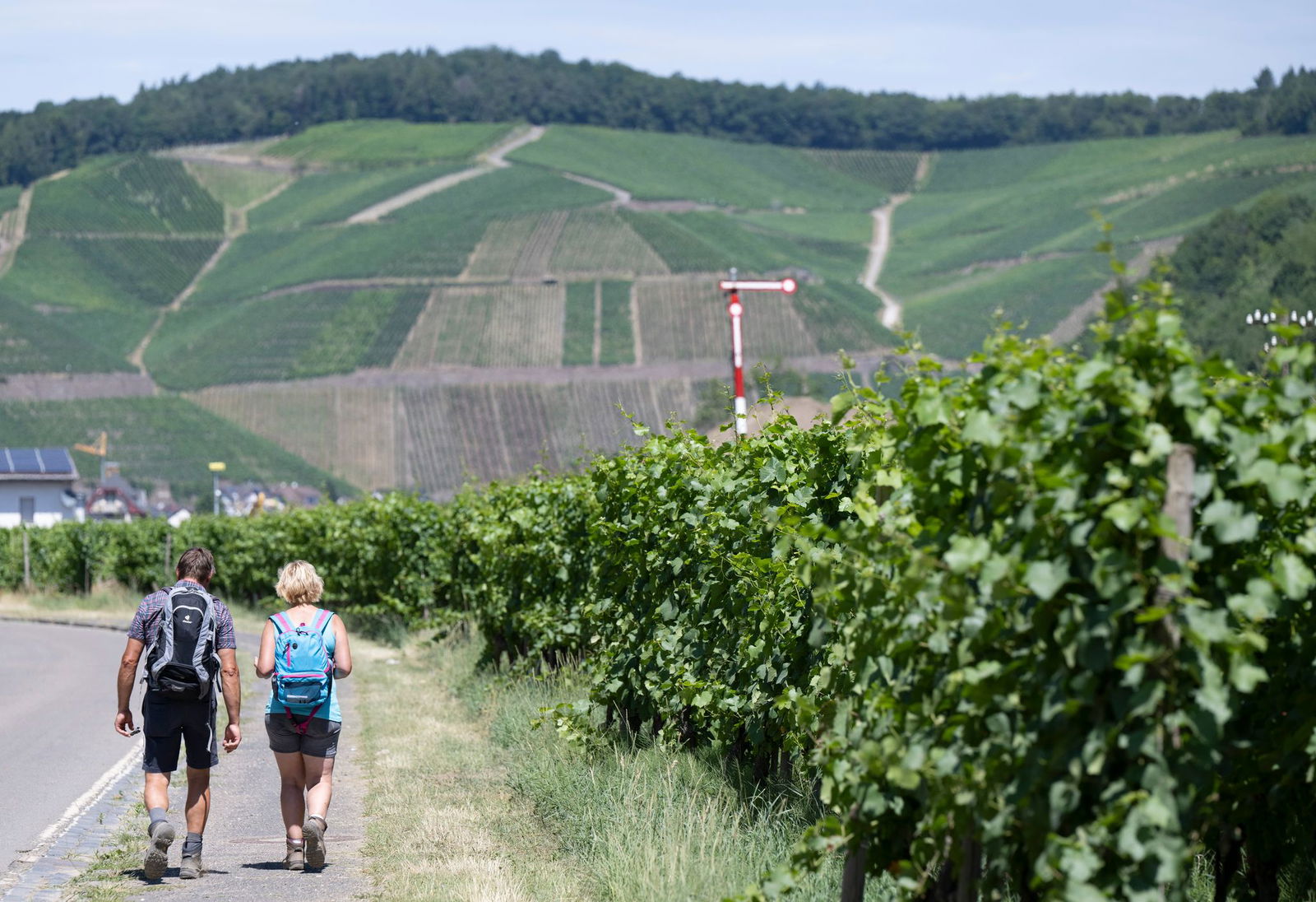 Ob um einen Fluss oder auf die Berge: Wanderrouten gibt es reichlich. (Archivbild)