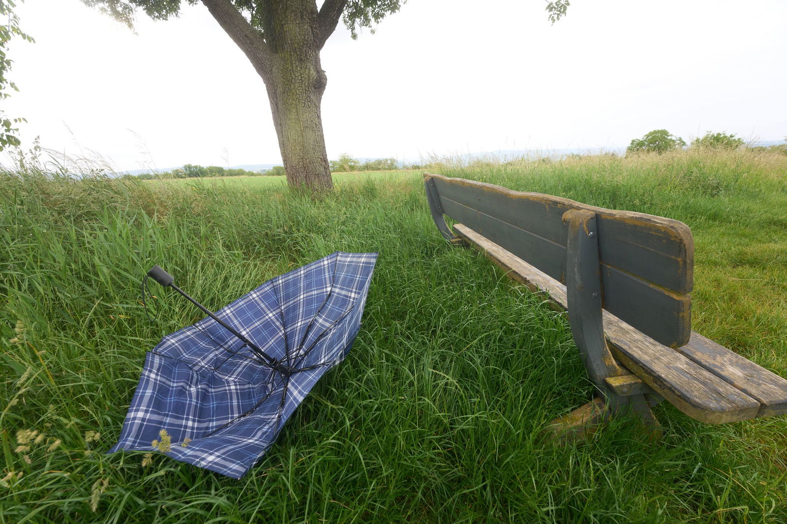 Zu Beginn der neuen Woche gibt es viel Regen und Gewitter. Dabei kann es auch stürmisch werden. (Symbolbild)