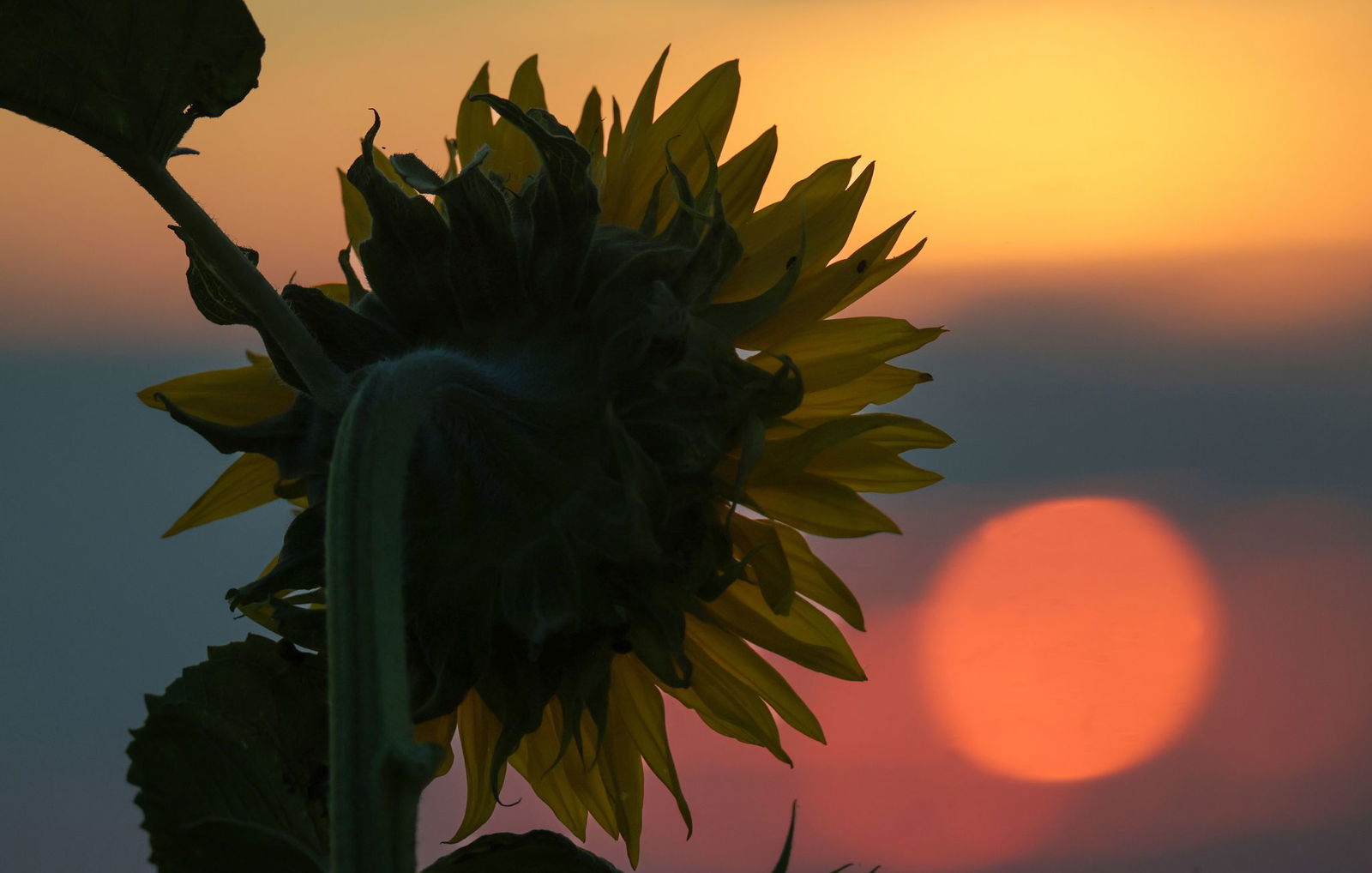 Vor allem im Süden werden schon am Nachmittag Schauer und Gewitter erwartet.