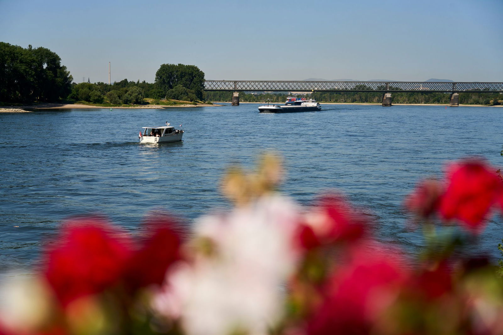 Bis zu 40 Grad hatte der DWD für Rheinland-Pfalz und das Saarland vorhergesagt.