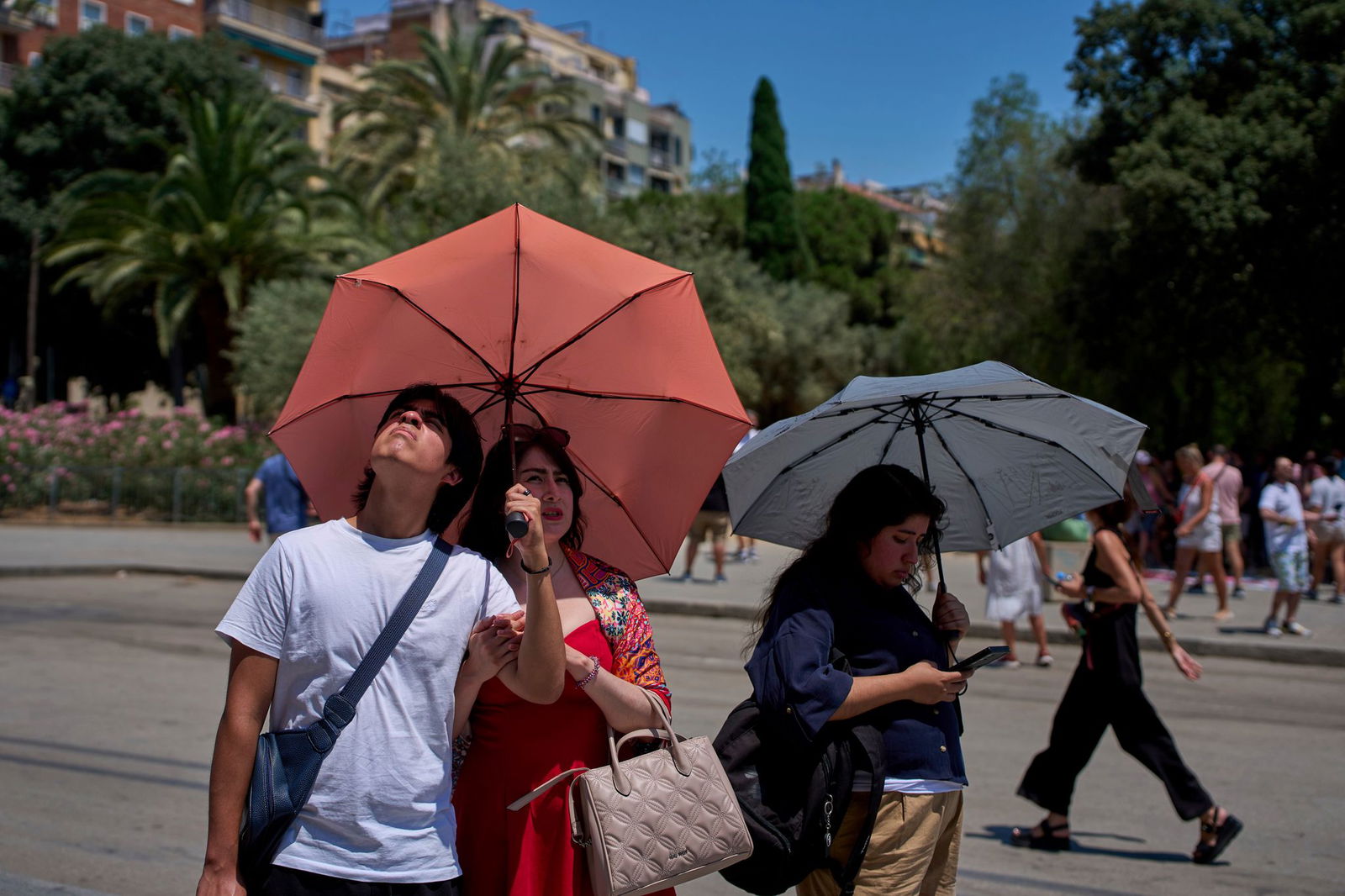 Touristen schützen sich amvor der Kirche Sagrada Familia mit Regenschirmen vor der Sonne. 