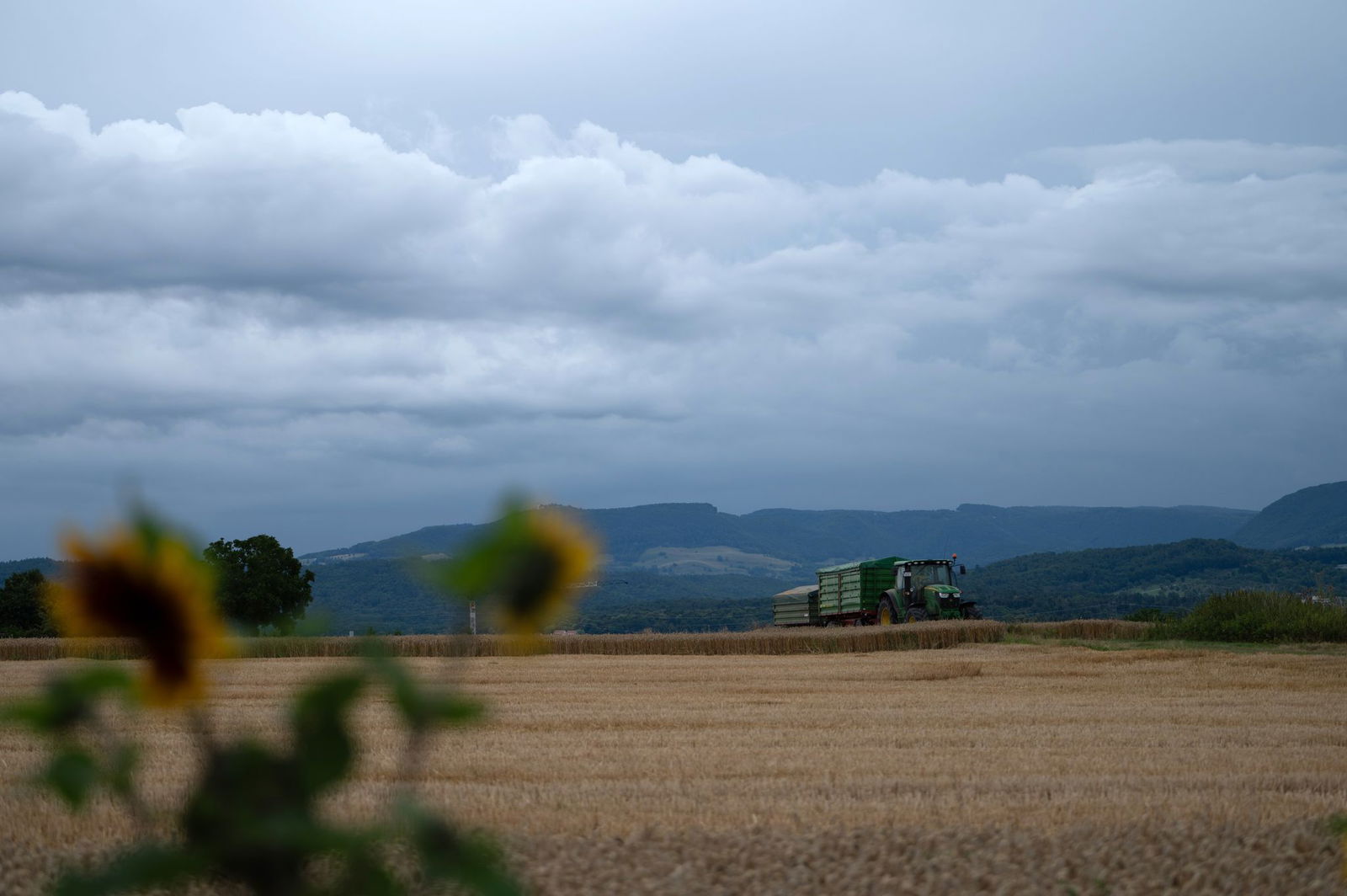 Dunkle Wolken ziehen auf.