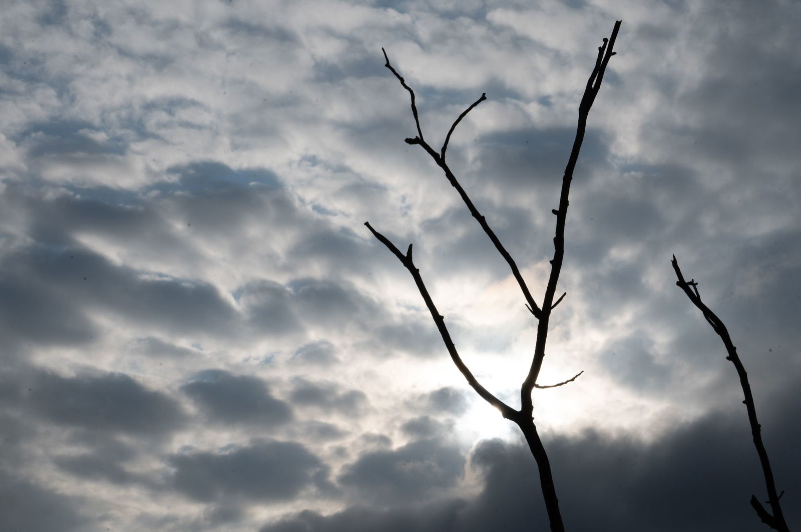 Es soll schwül-heiß werden. (Archivbild)