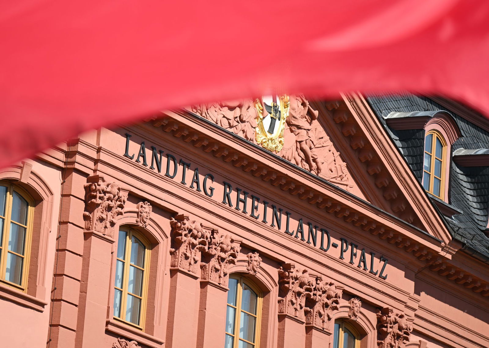 Die Jäger in Rheinland-Pfalz dürften die Sitzung des Landtages in Mainz mit besonderer Aufmerksamkeit verfolgen. (Archivbild)