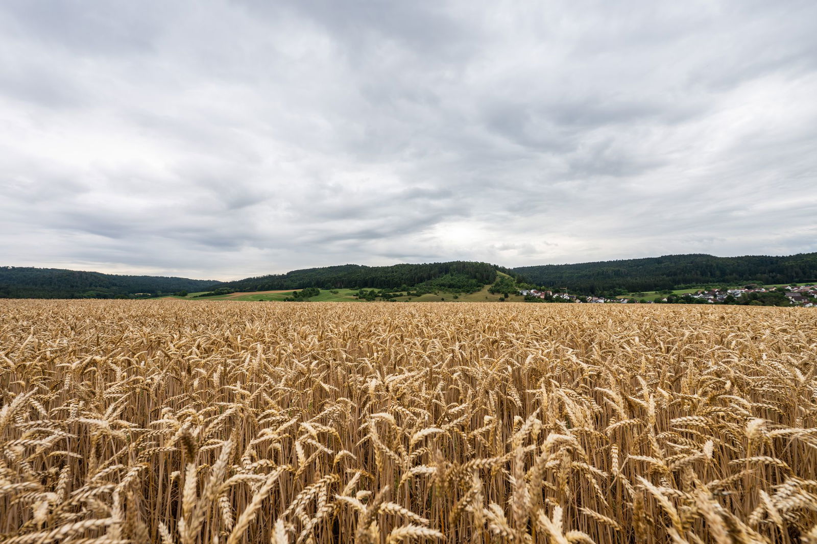Der Donnerstag startet wechselhaft, doch am Freitag steht dem Land Sommerwetter bevor. (Archivbild)