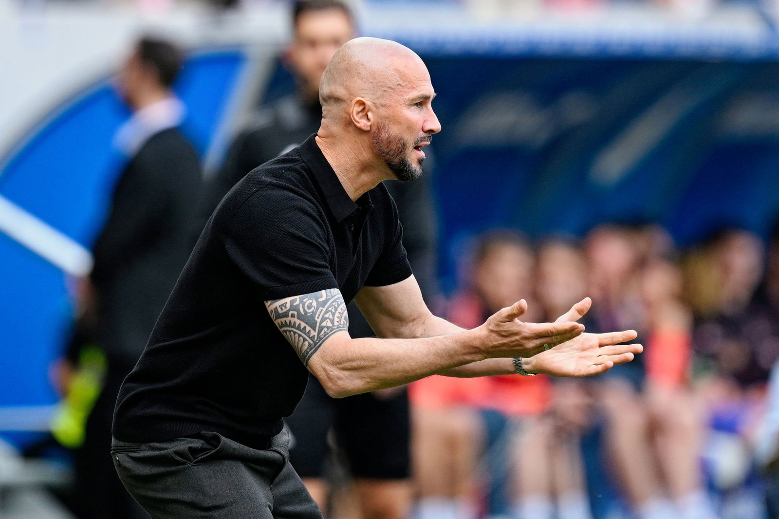 Wünscht sich einen kleineren Kader: TSG-Coach Ilzer.