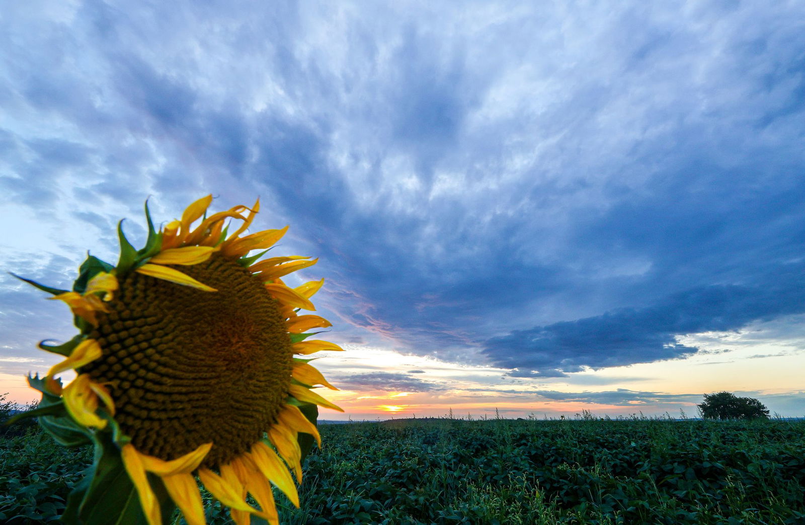 Für das Wochenende wird nach einem sonnigen Samstag Regen erwartet. (Archivbild)