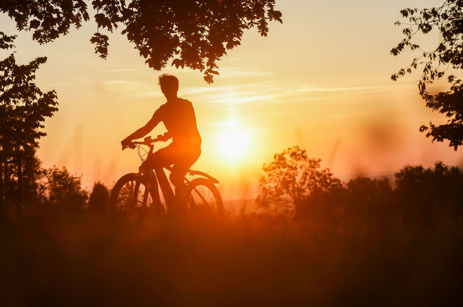 Sommer in Baden-Württemberg. (Symbolbild)