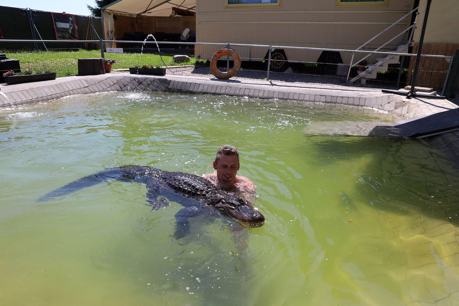 Krystian Kaulis spielt und kuschelt im Pool mit Alligator Frau Meyer. Das 45 Jahre alte Reptil genießt seinen Ruhestand nach Jahren im Zirkus mit eigenem Pool im Garten von Familie Kaulis.