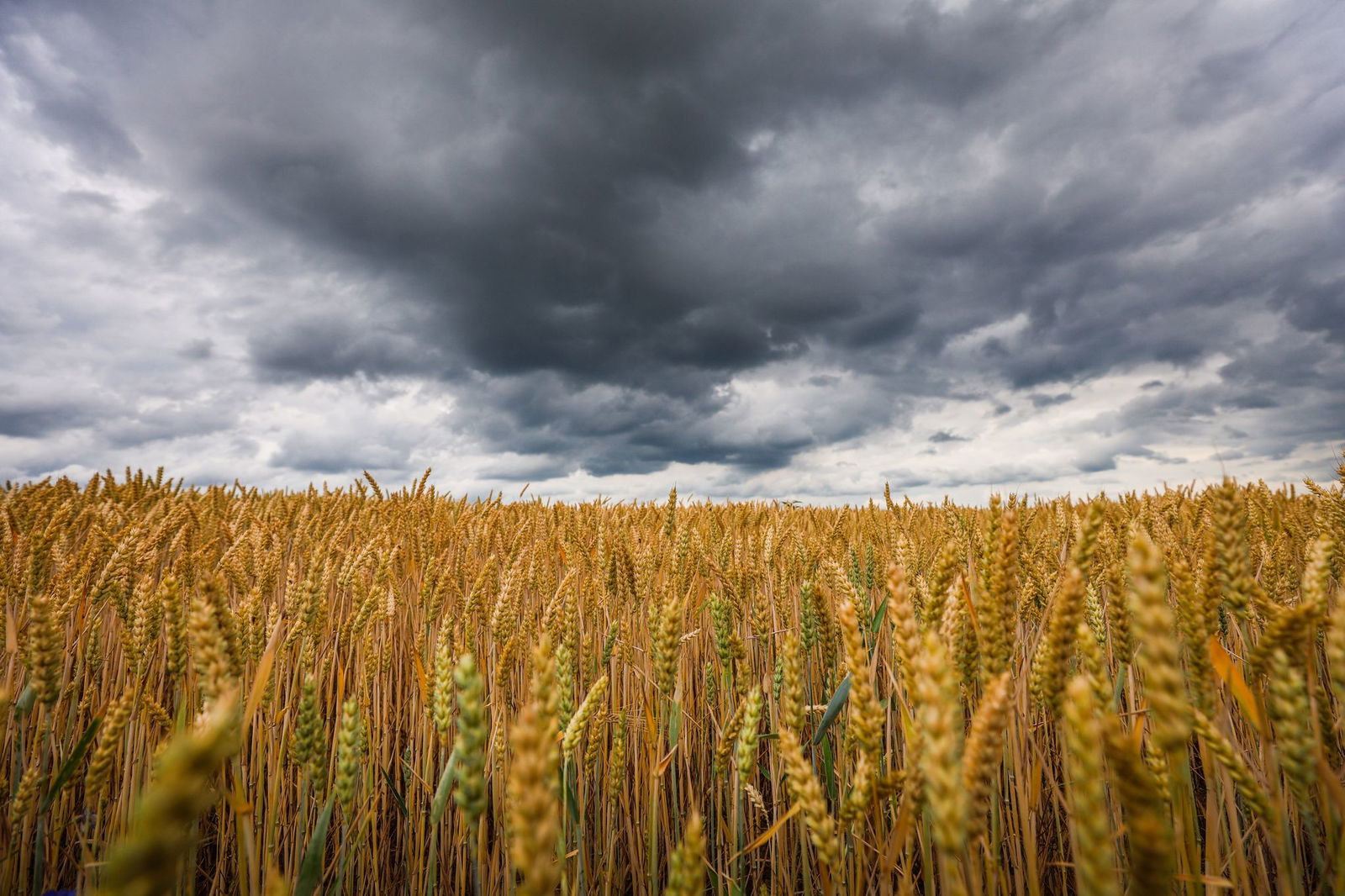 Dunkle, dichte Wolken und kühlere Temperaturen - der DWD erwartet jedoch nur vorübergehend das Ende der Sommerhitze. (Symbolbild)