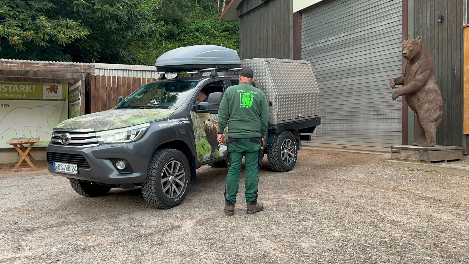 Die Wildbärin Gaia ist im Alternativen Wolf- und Bärenpark angekommen. (Foto-Handout)
