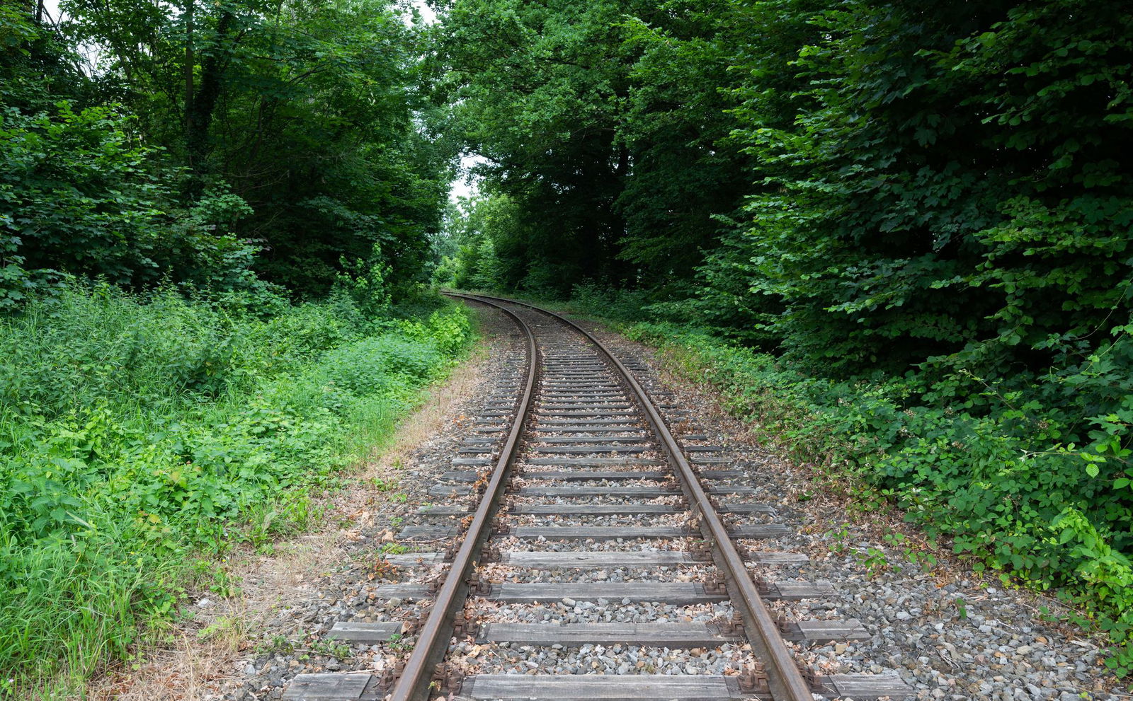 Die Saar-Landesregierung treibt die Reaktivierung von Bahnstrecken voran. (Archivbild)