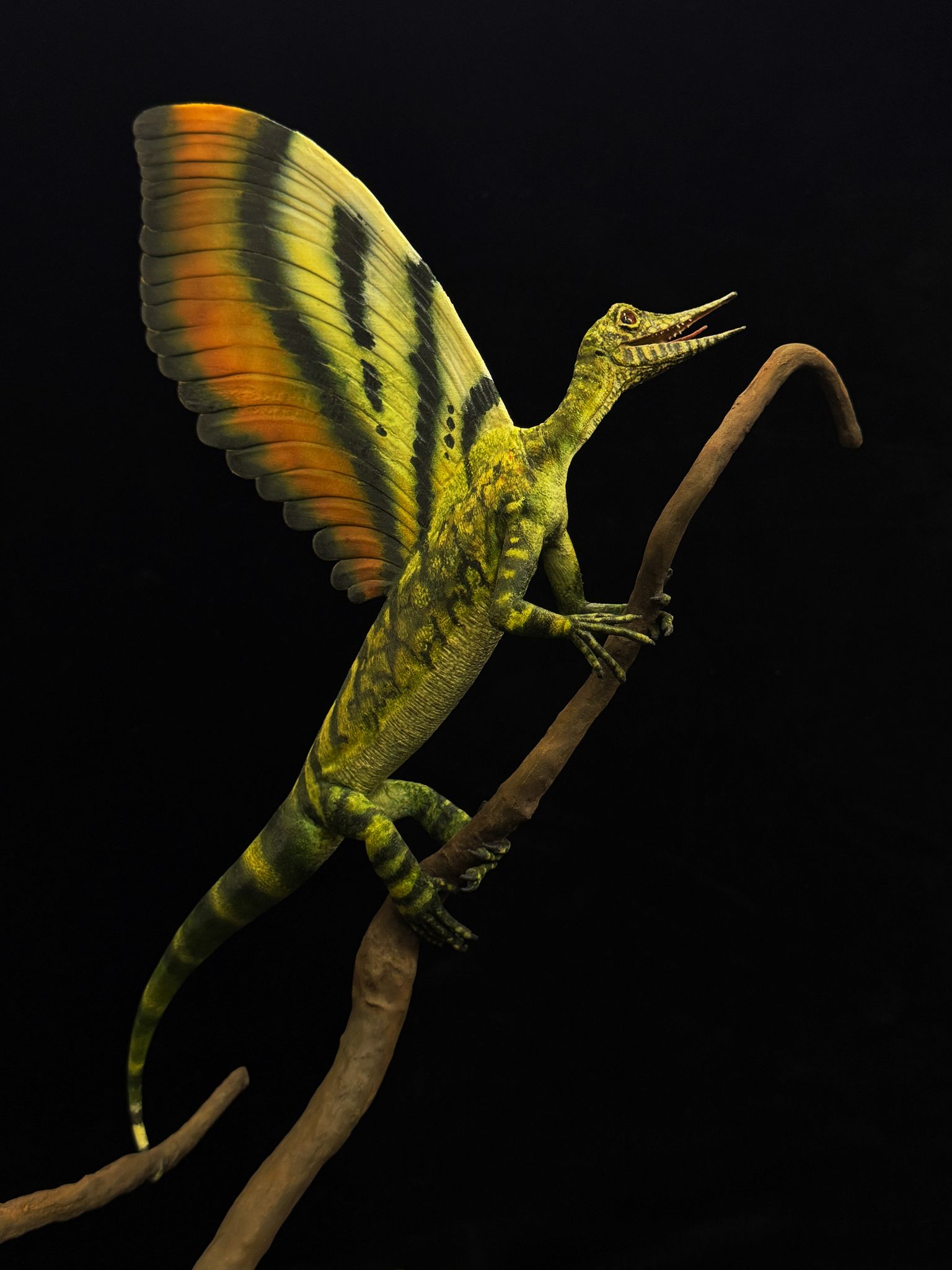 Bei einem in Stuttgart ausgestellten rund 247 Millionen Jahre alten Reptilienfossil haben Forscher bislang unbekannte kuriose Hautauswüchse entdeckt, die diese grafische Darstellung zeigt.