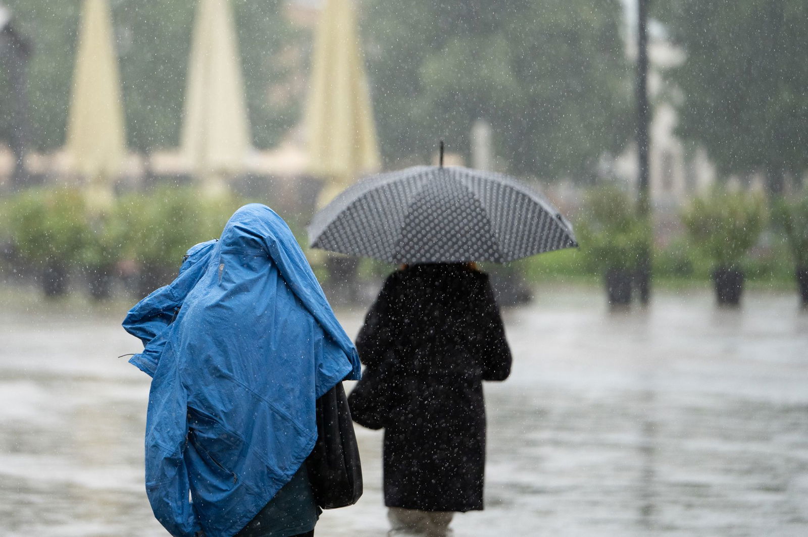 Der Deutsche Wetterdienst rechnet in den kommenden Tagen mit extremen Wetterphänomenen. 