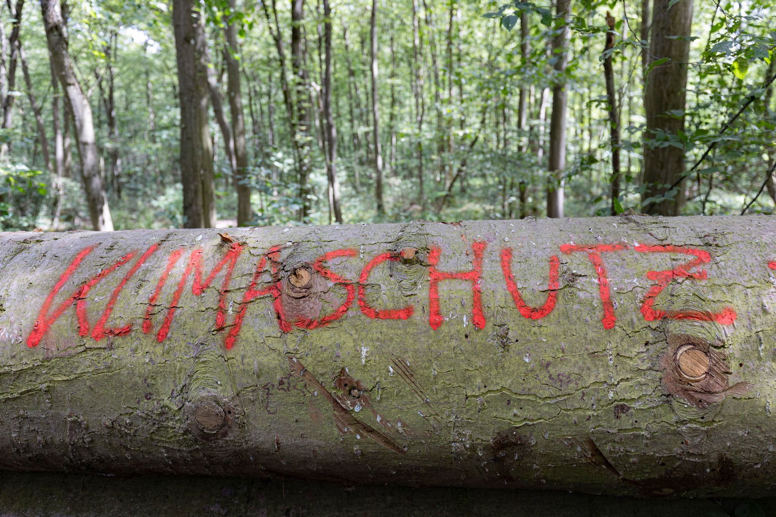Es dürfte das für die Ampel-Koalition schwierigste Projekt dieser Legislaturperiode sein: die Novelle des KIimaschutzgesetzes. (Archivfoto)