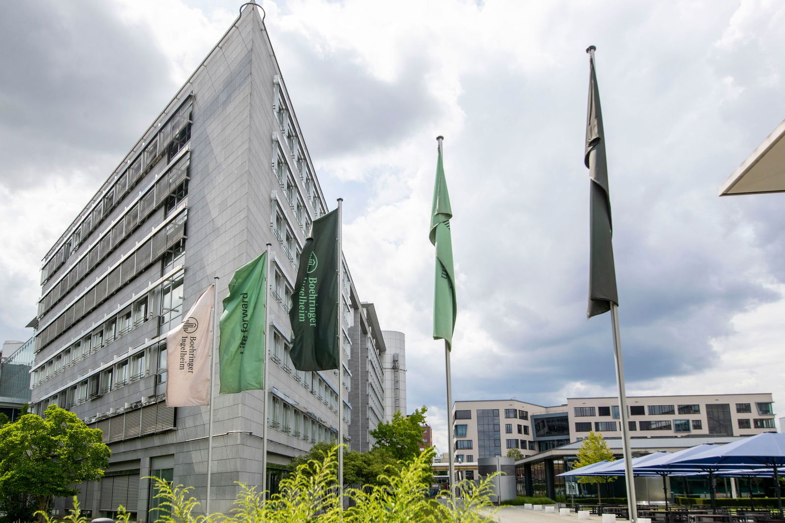 Es sei nicht selbstverständlich, dass immer Investitionen in die deutschen Standorte wie den Stammsitz im rheinhessischen Ingelheim fließen, sagt der neue Deutschlandchef. 