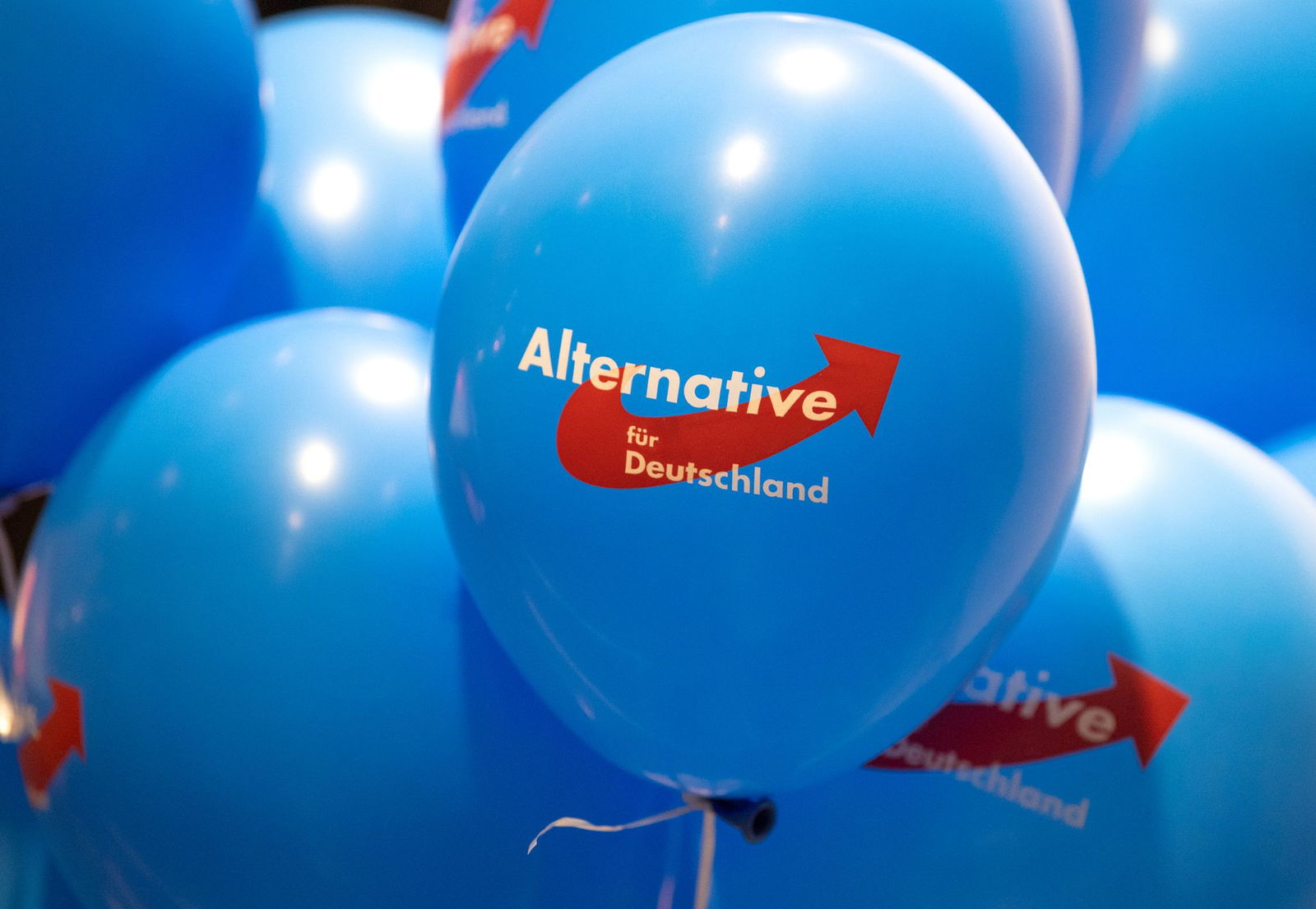 Dürfen AfD-Mitglieder in Rheinland-Pfalz nicht in den öffentlichen Dienst übernommen werden? Das wird letztlich im Einzelfall entschieden. (Symbolbild)