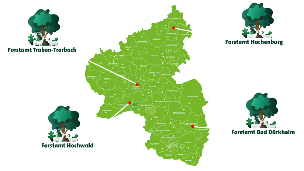 BaumFürBaumPflanzgebiete