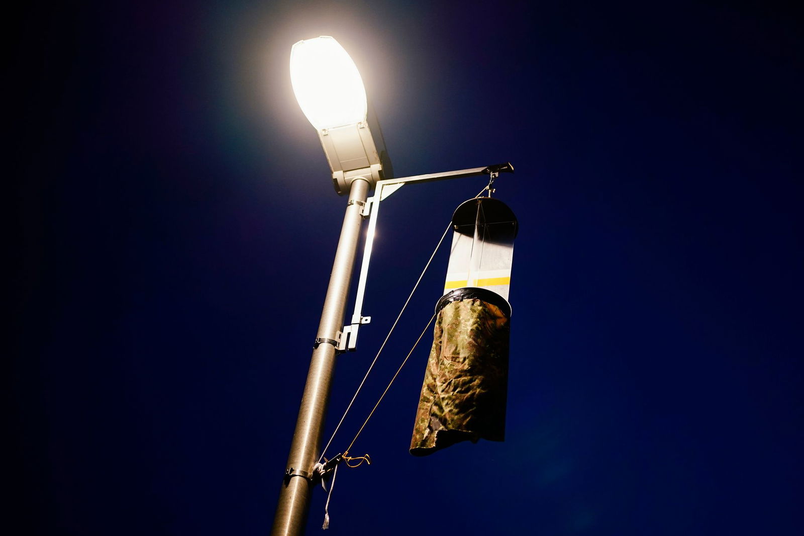 Mit solchen Fallen haben die Forschenden die Insekten eingefangen. (Archivbild)