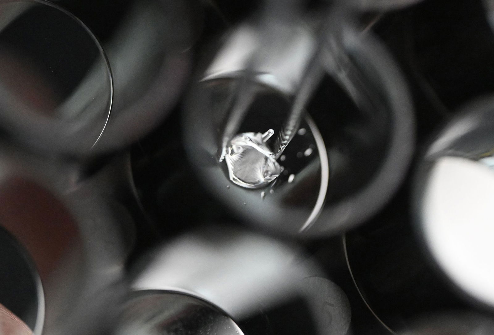 Ein 3D-Drucker hat die künstliche Baby-Herzklappe in einer Form gedruckt.