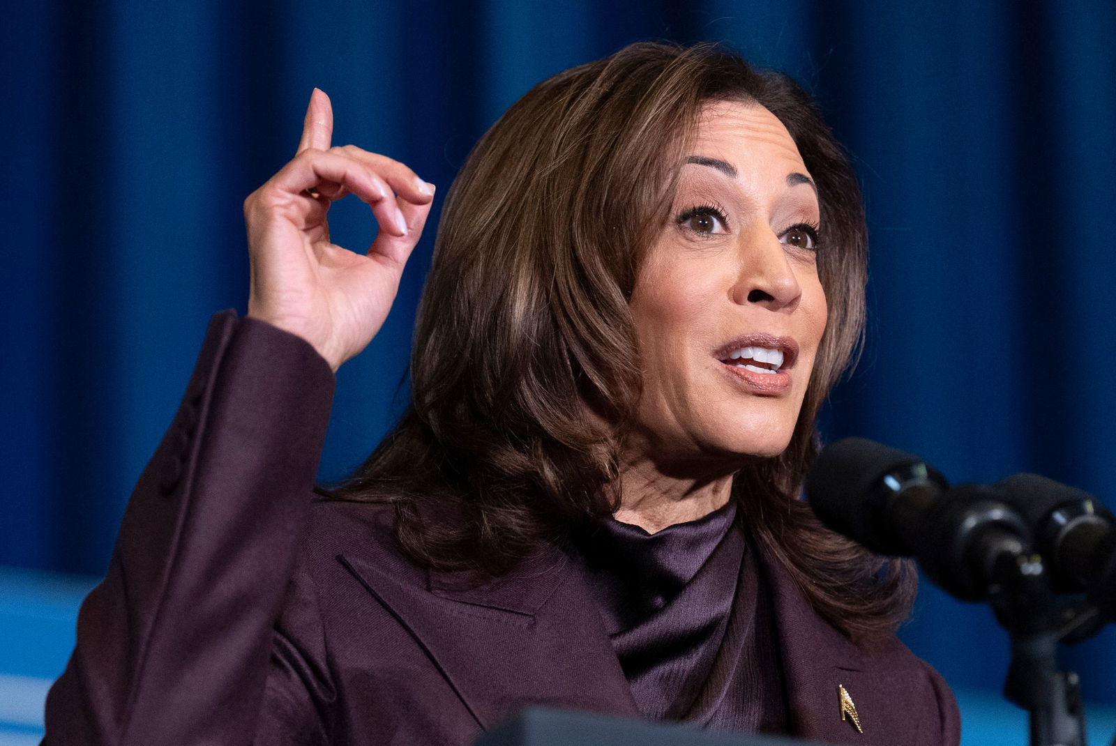 Will sich im nächsten Jahr nicht als Gouverneurin von Kalifornien bewerben - Kamala Harris. (Archivbild)