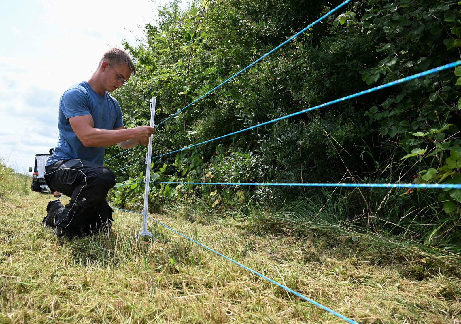 Zäune sollen vor der Ausbreitung der Afrikanischen Schweinepest schützten. (Archivbild)