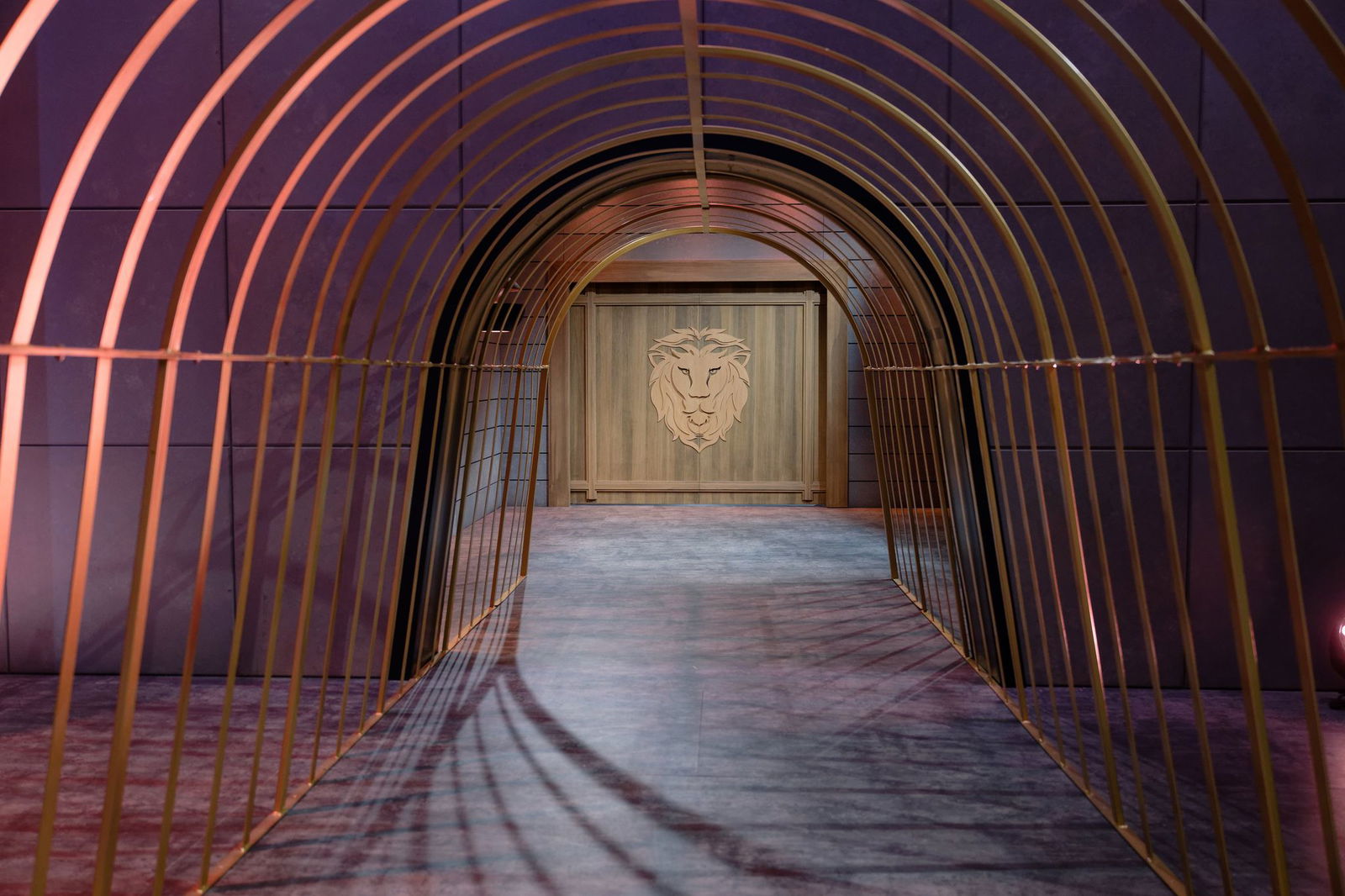 Durch diesen Tunnel müssen Gründer, wenn sie bei der «Höhle der Löwen» erfolgreich sein wollen. (Archivbild)