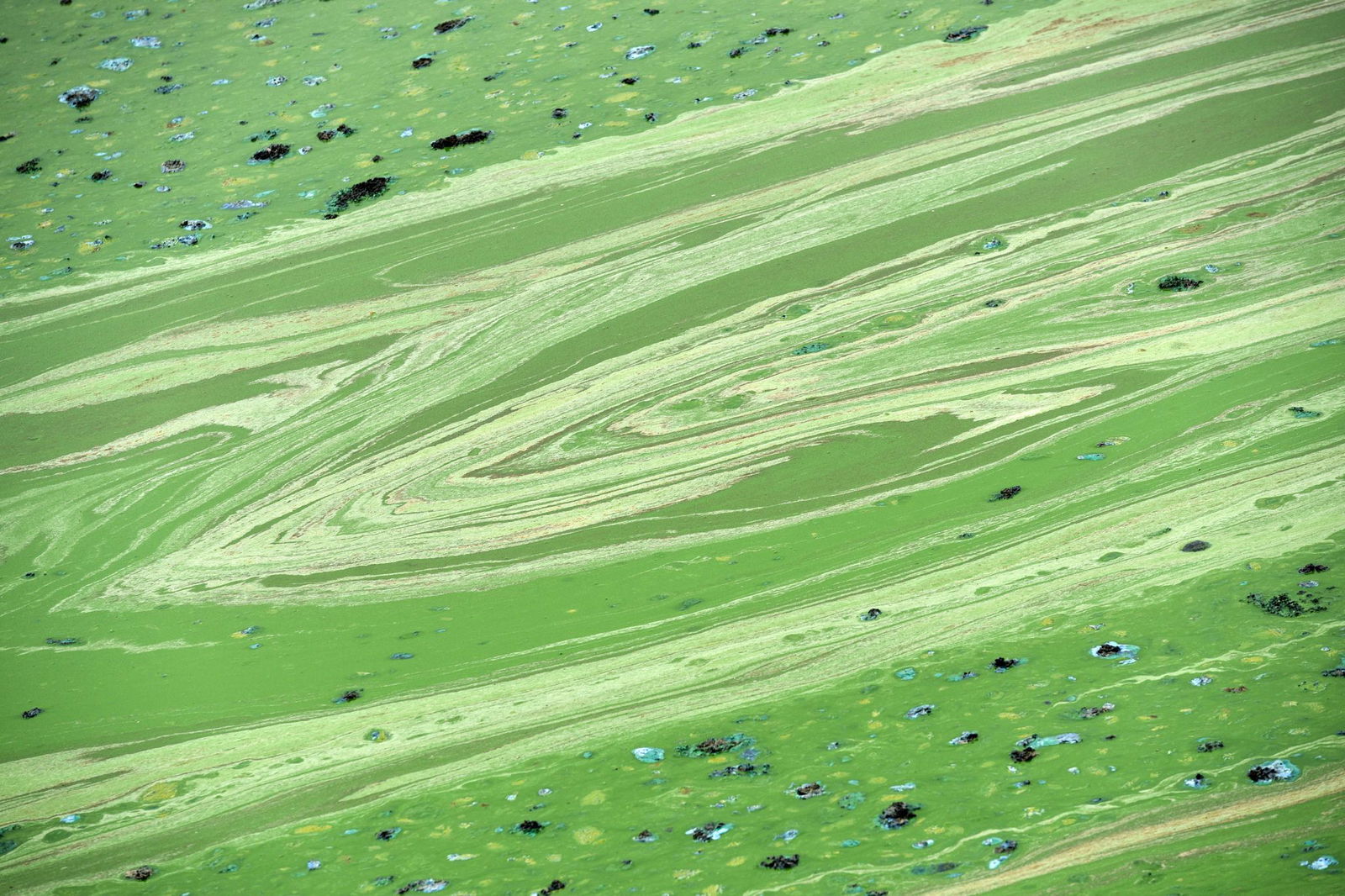 Falls ein beliebter Badesee von Blaualgen befallen ist, gibt es Alternativen für den Badespaß. (Archivbild) 