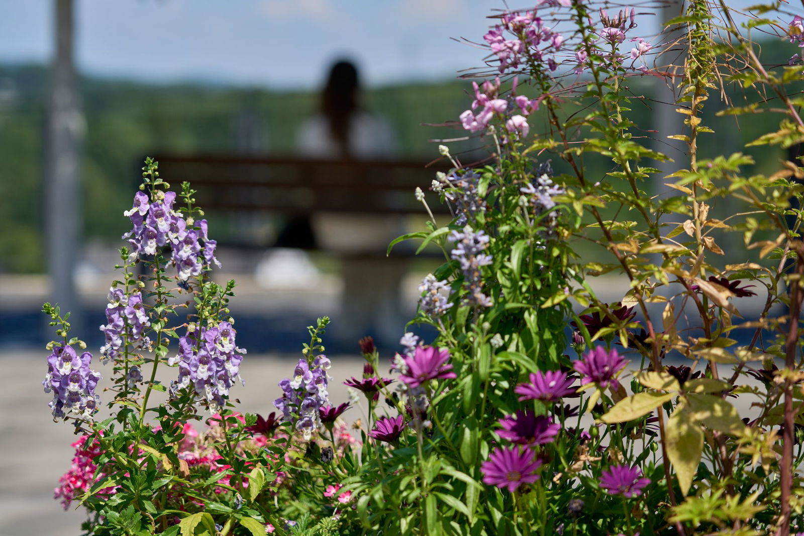 Ungetrübtes Sommerwetter in Rheinland-Pfalz und im Saarland in den nächsten Tagen. (Symbolbild)