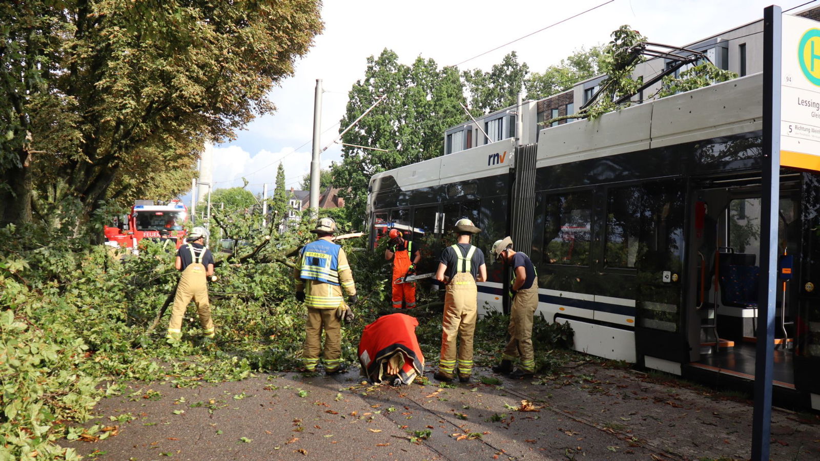 Feuerwehrleute entfernen den umgestürzten Baum. 