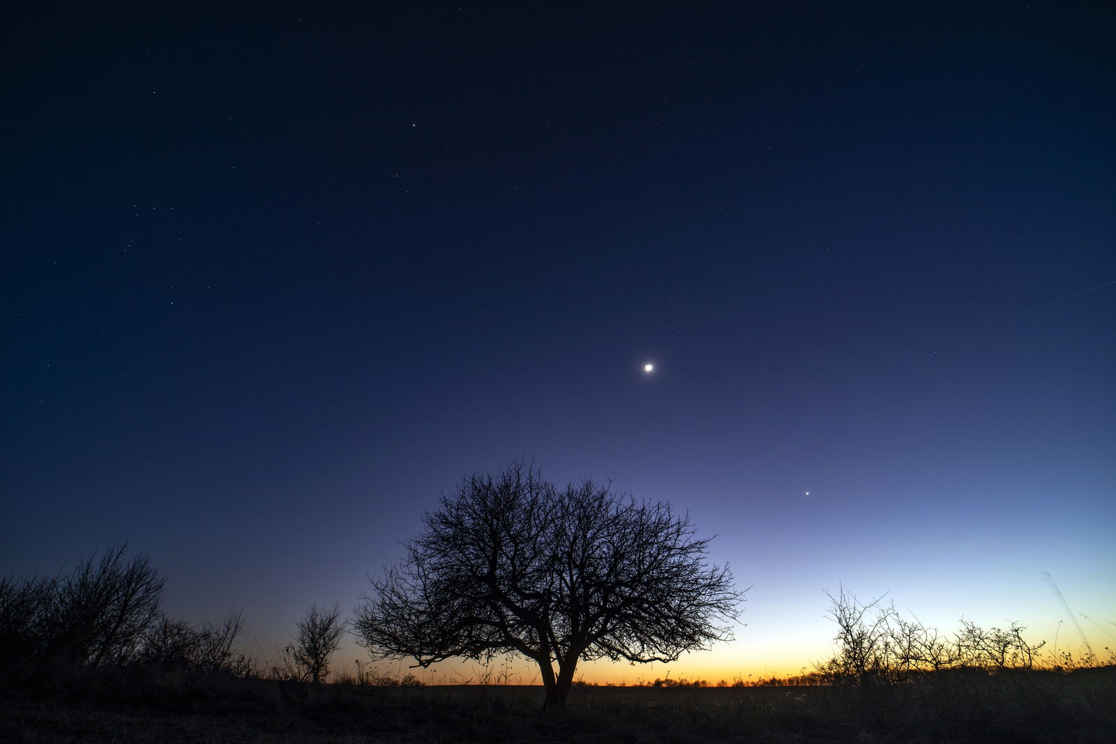 Die Planeten Jupiter und Venus leuchten zusammen mit dem Mond am Himmel