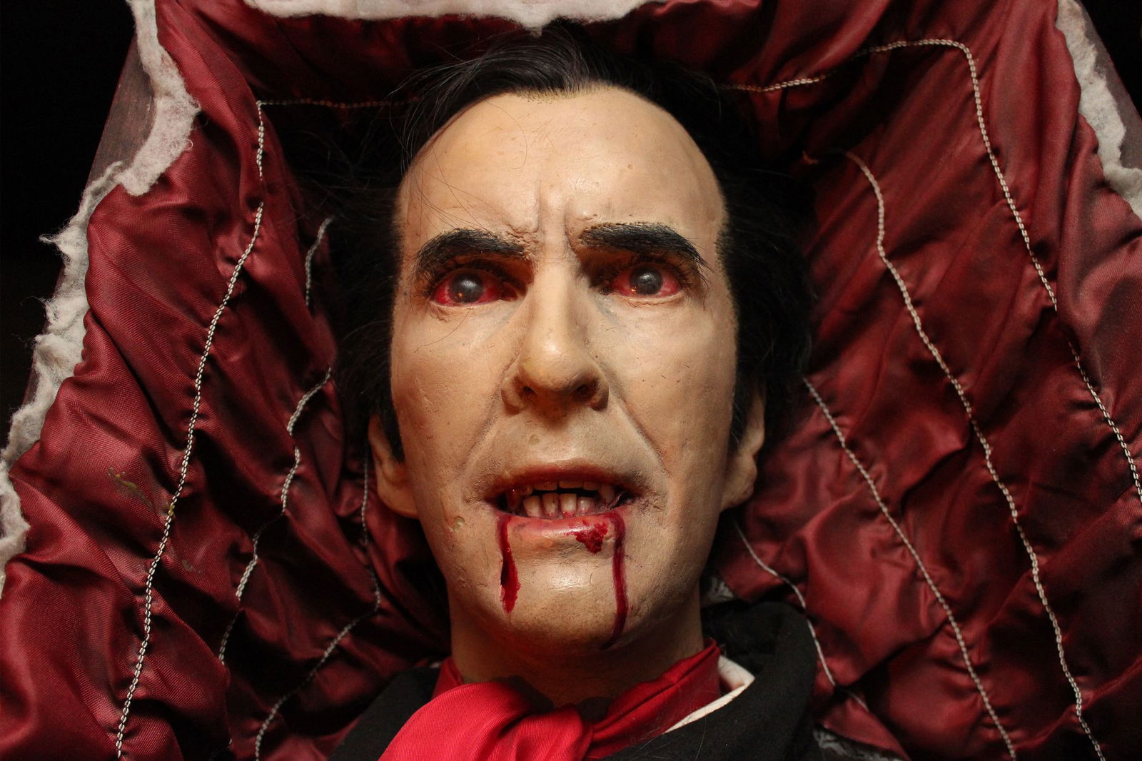 Besonders häufig tauchen Fledermäuse in Filmen mit Vampiren auf. Der bekannteste ist sicher Dracula. (Symbolbild)