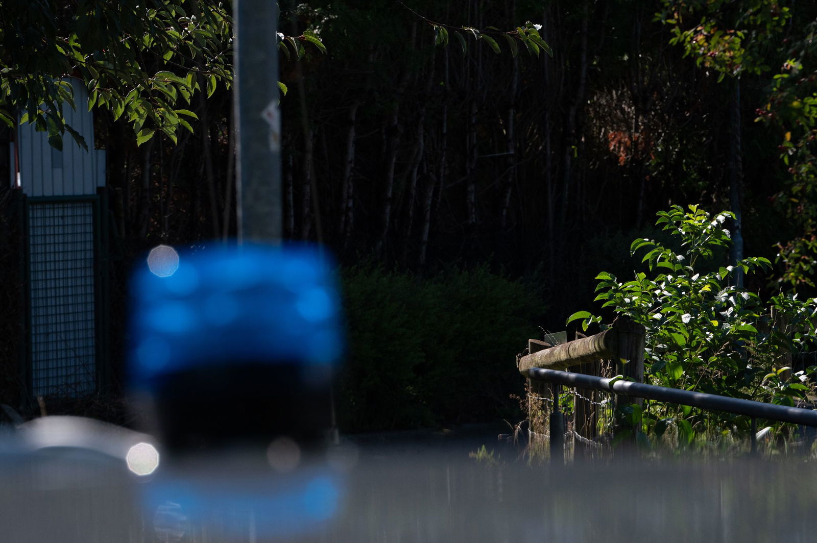 Die Leiche war in einem Koffer versteckt.