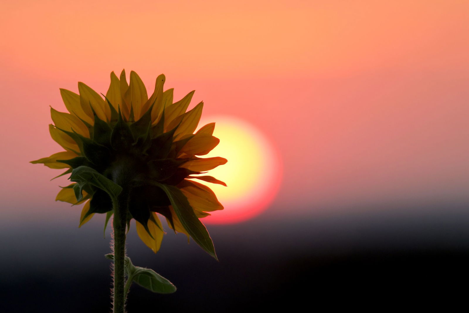 Das Ferienwetter im Südwesten hat Hitzewelle und Starkregen im Programm. (Archivbild)