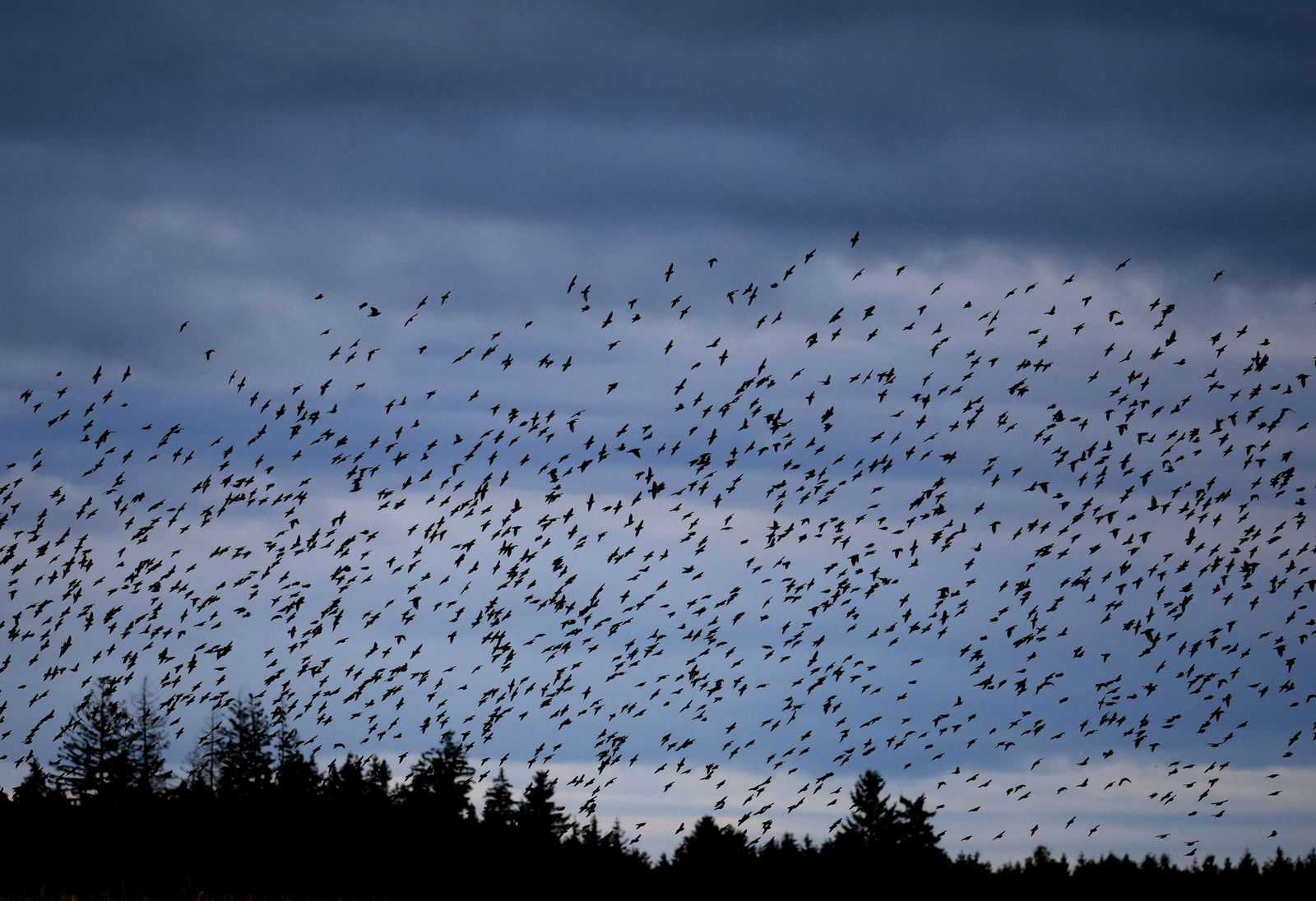 Wolken und Regen zeigen sich vermehrt am Wochenende (Symbolbild). 