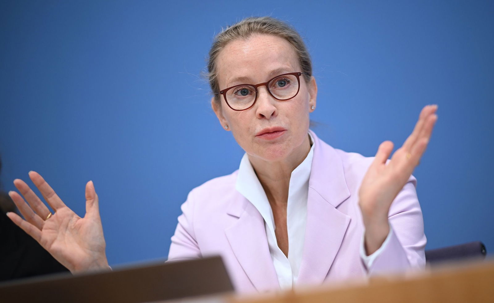 Die Wahl der Potsdamer Rechtswissenschaftlerin Frauke Brosius-Gersdorf scheiterte Mitte Juli am Widerstand der Union. (Archivbild)