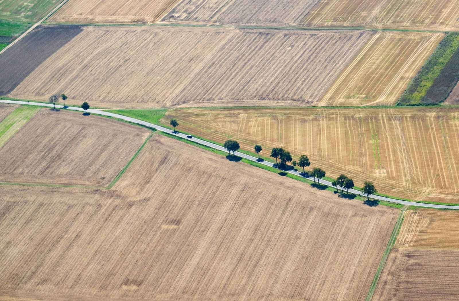 Im zu Ende gehenden Sommer fiel zu wenig Regen (Archivbild).